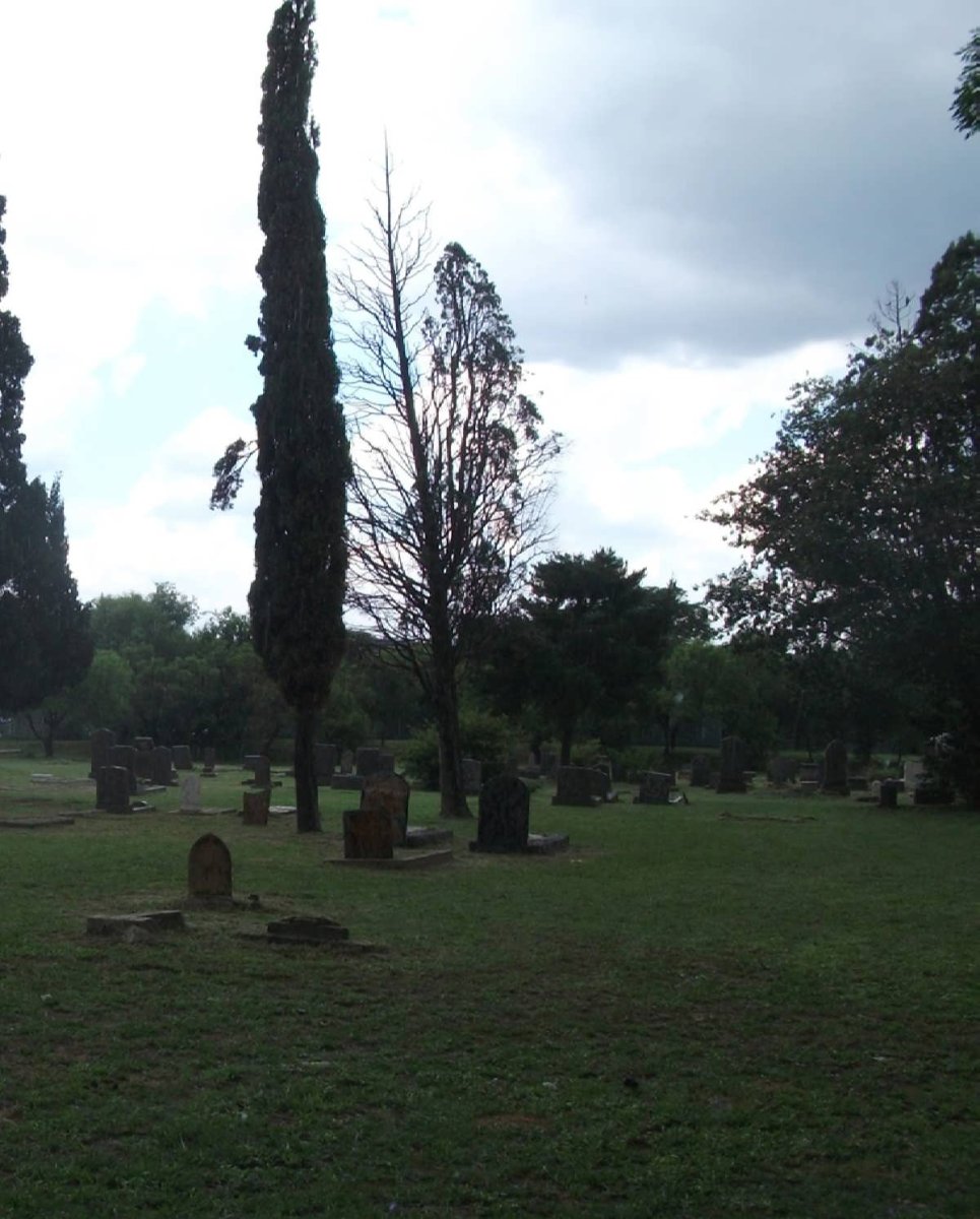 5. Overview