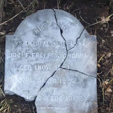 SCHOEMAN Jozef Fredrik Nel 1931-1932 :: SCHOEMAN Jozef Fredrik Nel