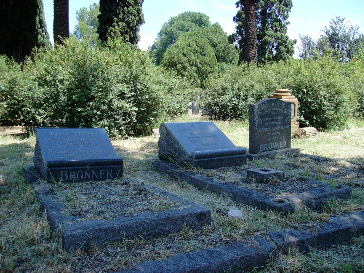 2. BRONNER-grafte