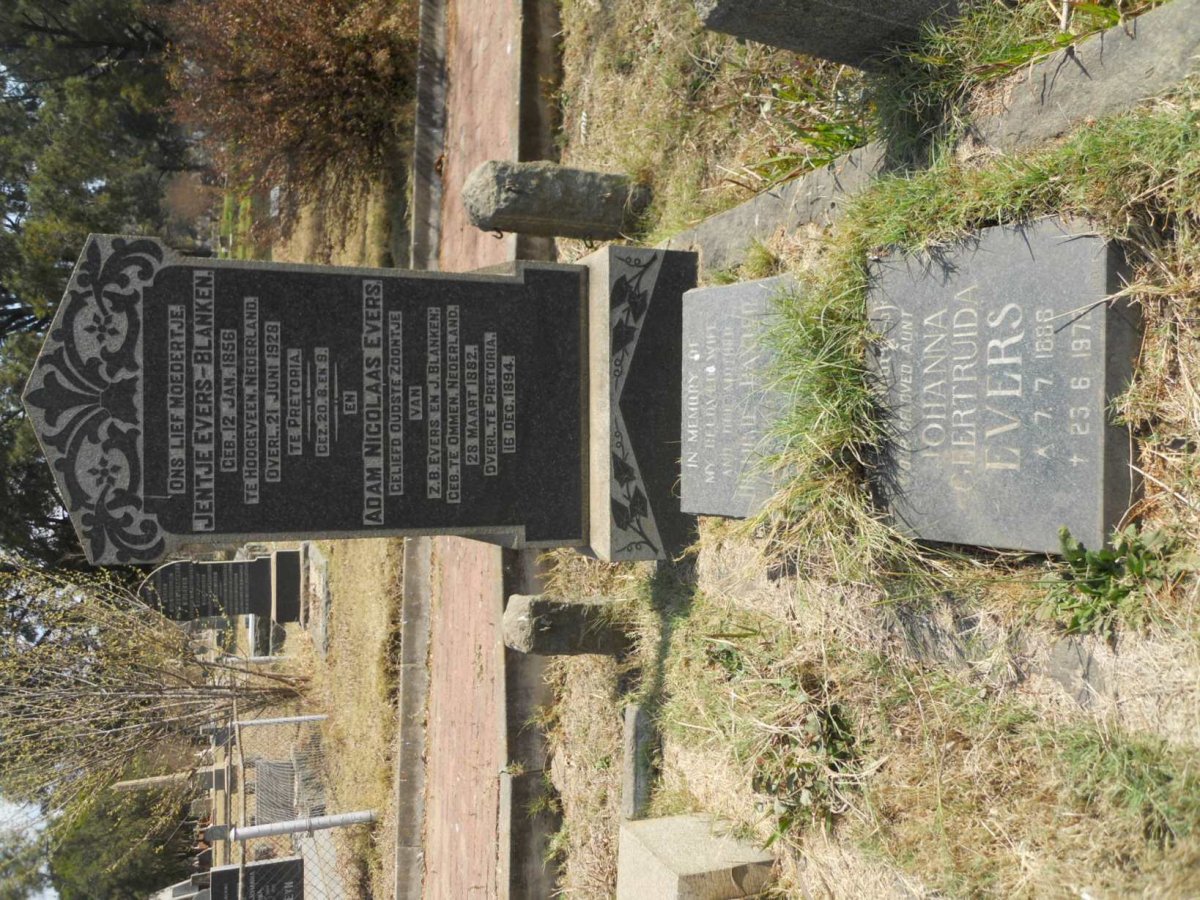 2. Overview