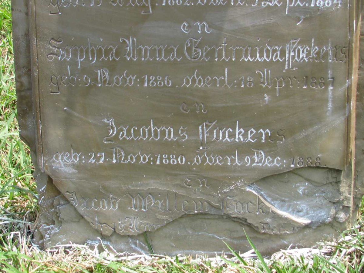 FOCKENS Family