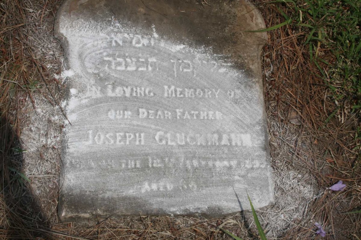GLUCKMANN Joseph