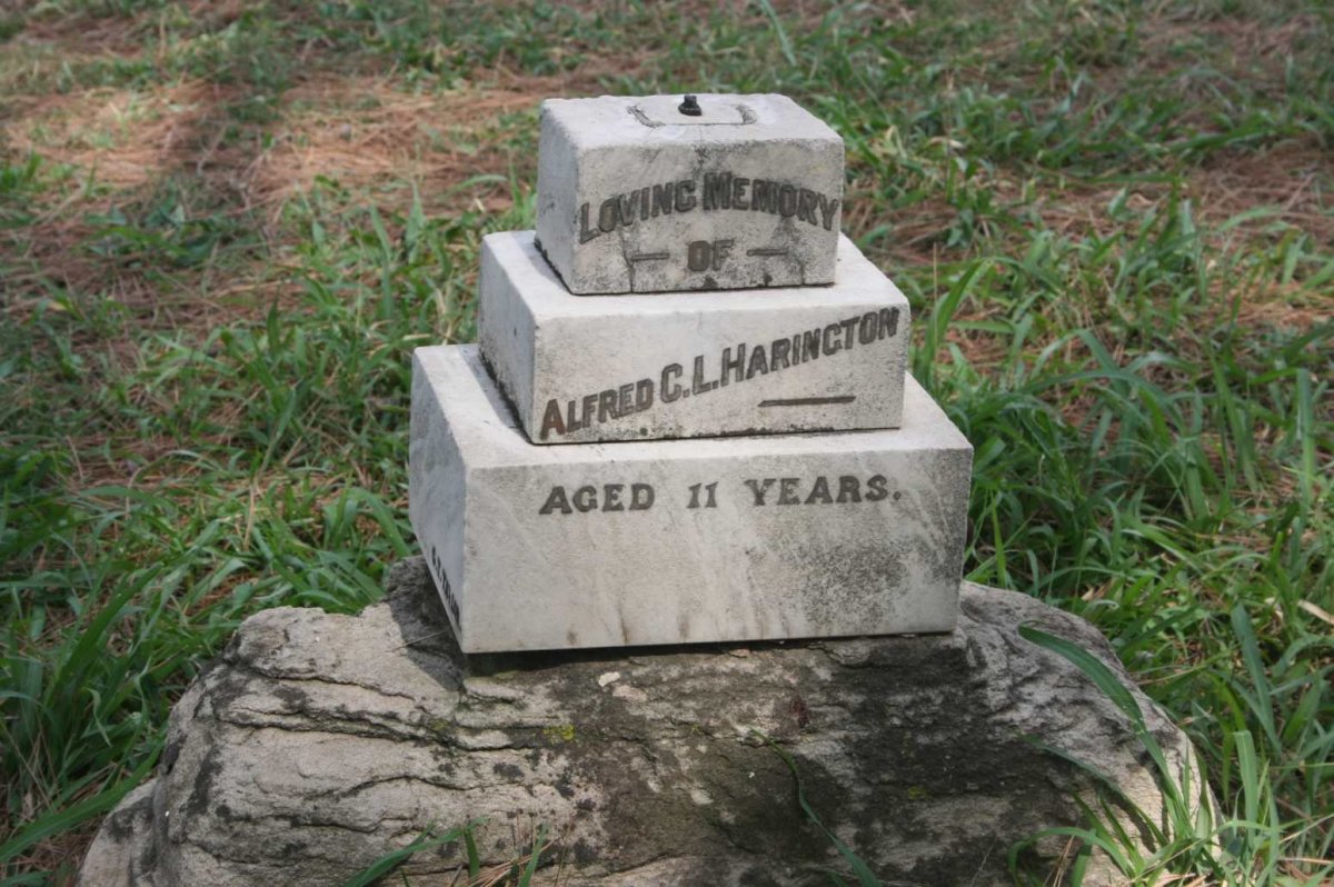 HARINGTON Alfred C.L.