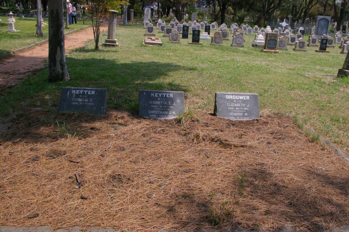 1. Overview