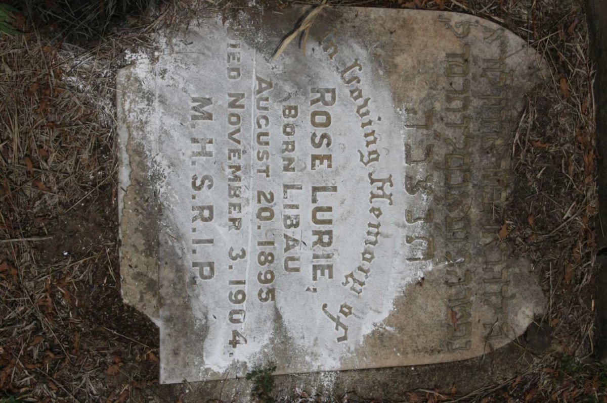 LURIE Rose 1895-1904