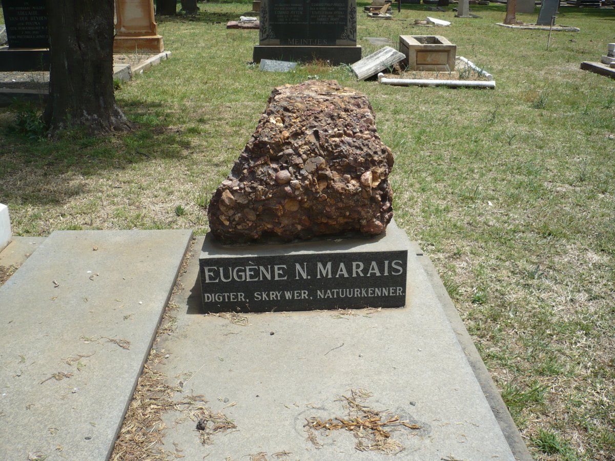 MARAIS Eugene Nielen Marais 1871-1936