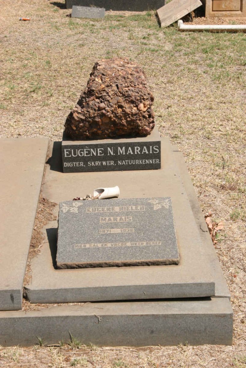 MARAIS Eugene Nielen 1871-1936