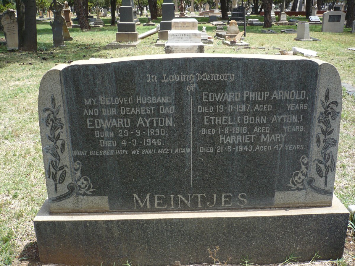 MEINTJES :: AYTON