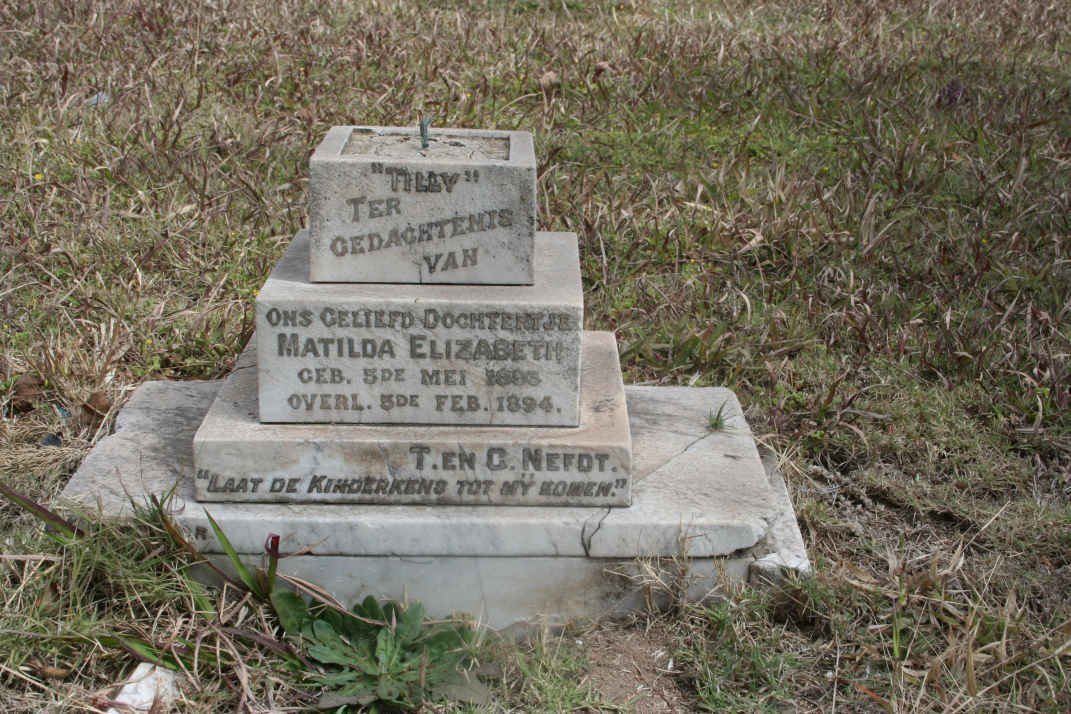 NEFDT Matilda Elizabeth 1893-1894