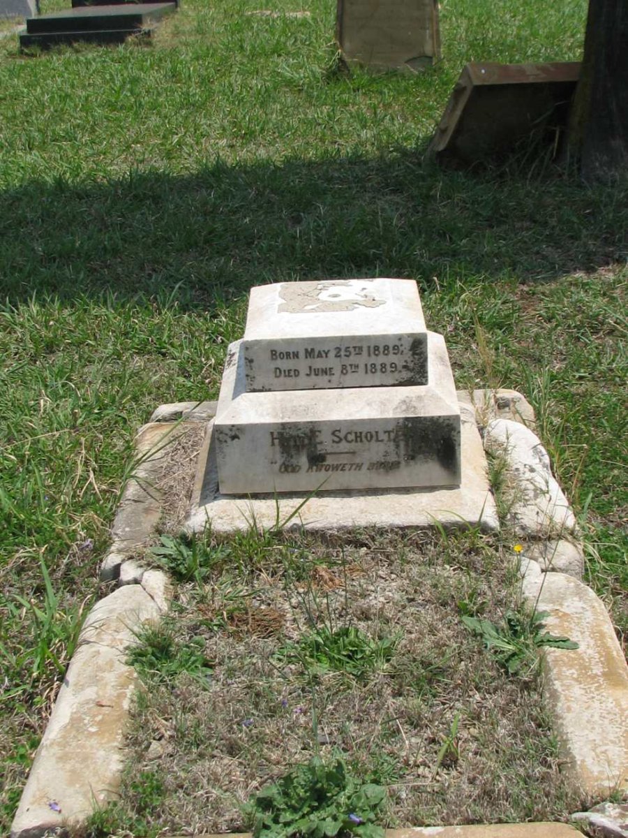 SCHOLTZ ? 1889-1889