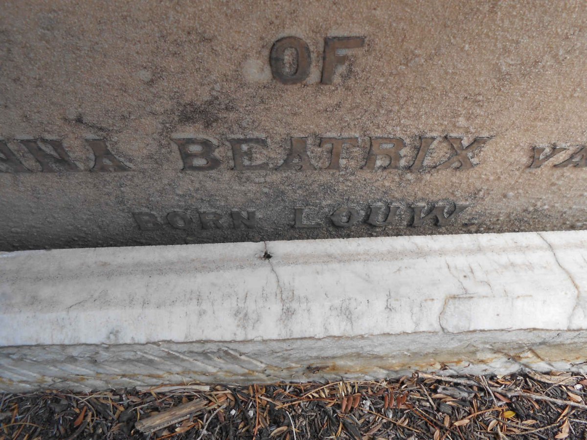 WYK Johanna Beatrix, van nee LOUW