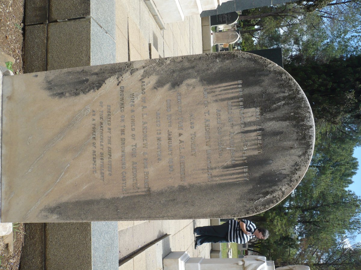 ANDREW Tom 1857- 1896 &amp; A.L. :: ANDREW Tommy -1896 :: ANDREW Robert