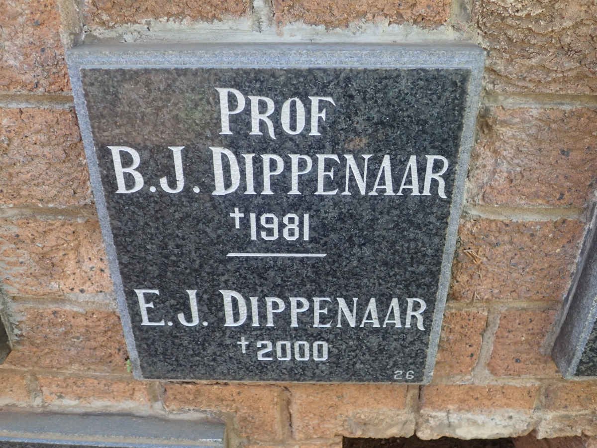 DIPPENAAR B.J. -1981 &amp; E.J. -2000
