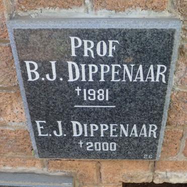 DIPPENAAR B.J. -1981 &amp; E.J. -2000