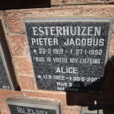 ESTERHUIZEN Pieter Jacobus 1919-1992 &amp; Alice 1922-2007