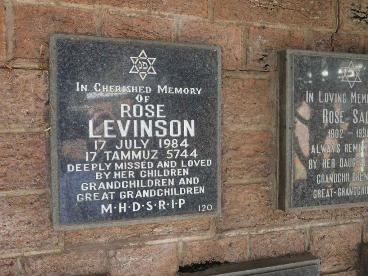 LEVINSON Rose -1984