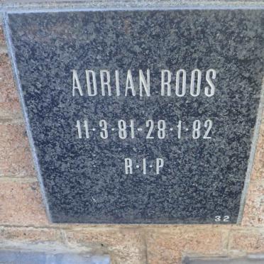 ROOS Adrian 1981-1982