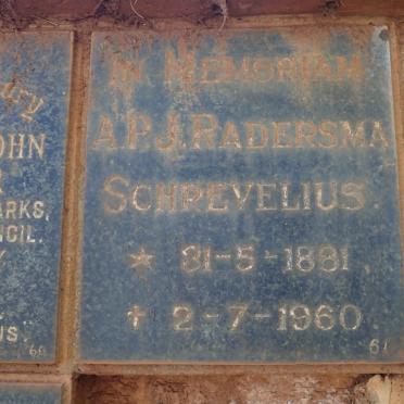 SCHREVELIUS A.P.J. Radersma 1881-1960