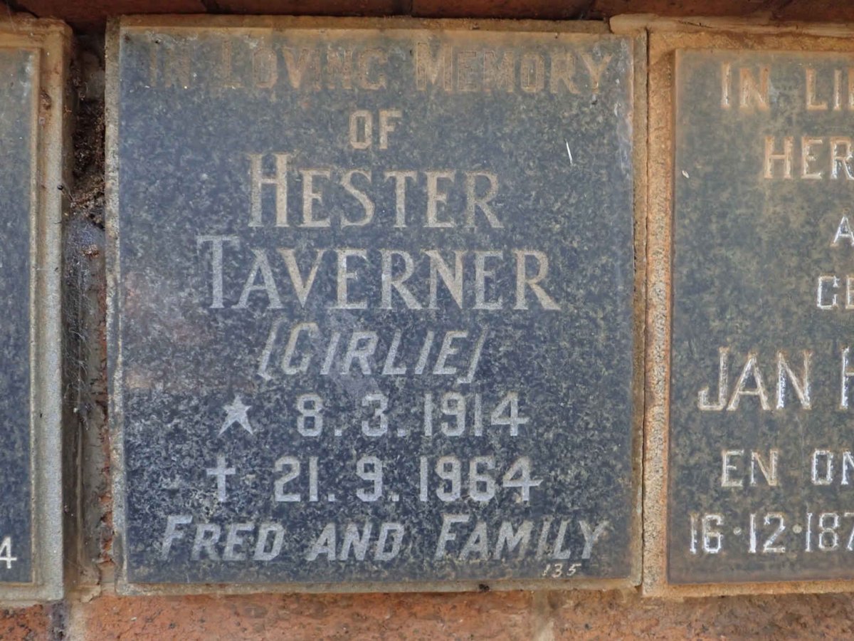 TAVERNER Hester 1914-1964