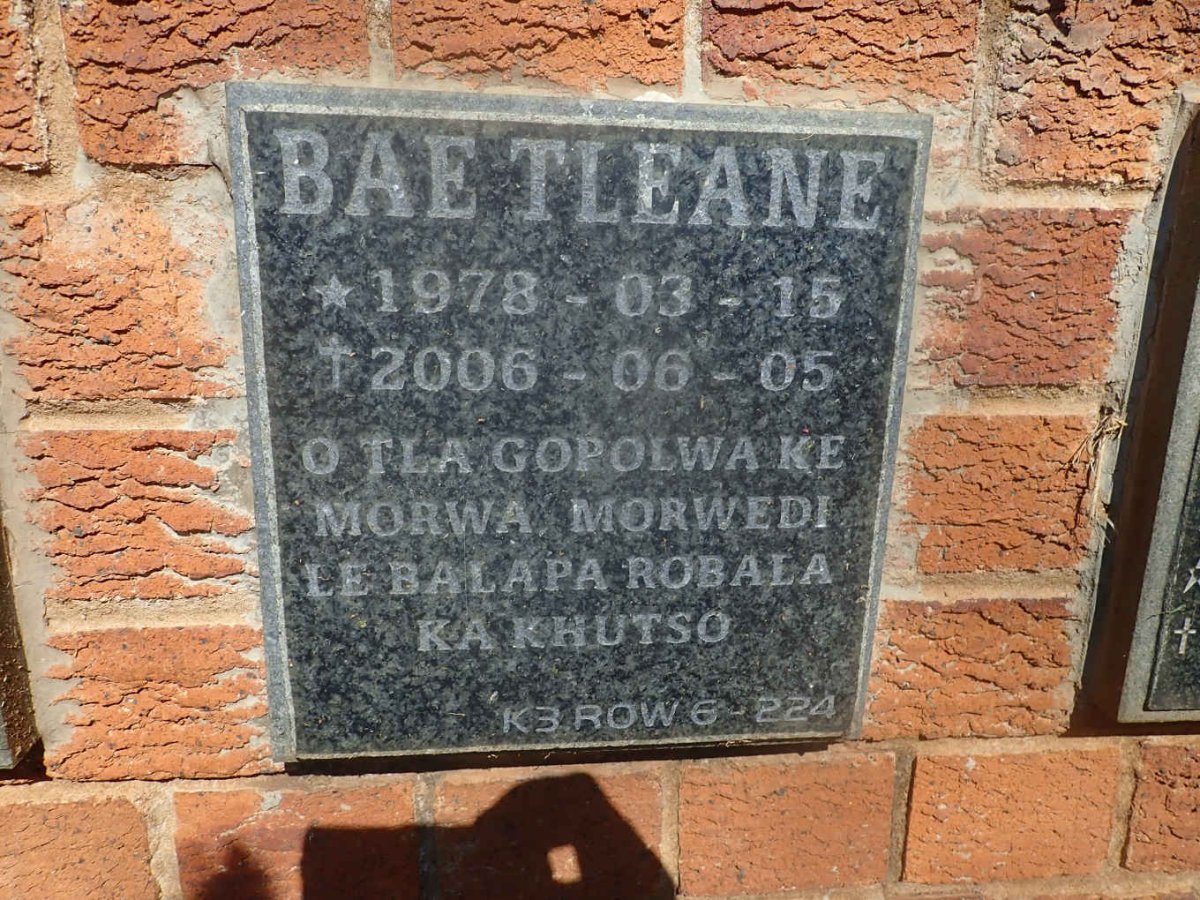 TLEANE Bae 1978-2006