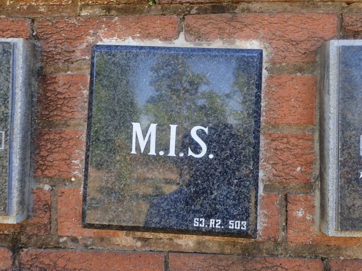 ? M.I.S.