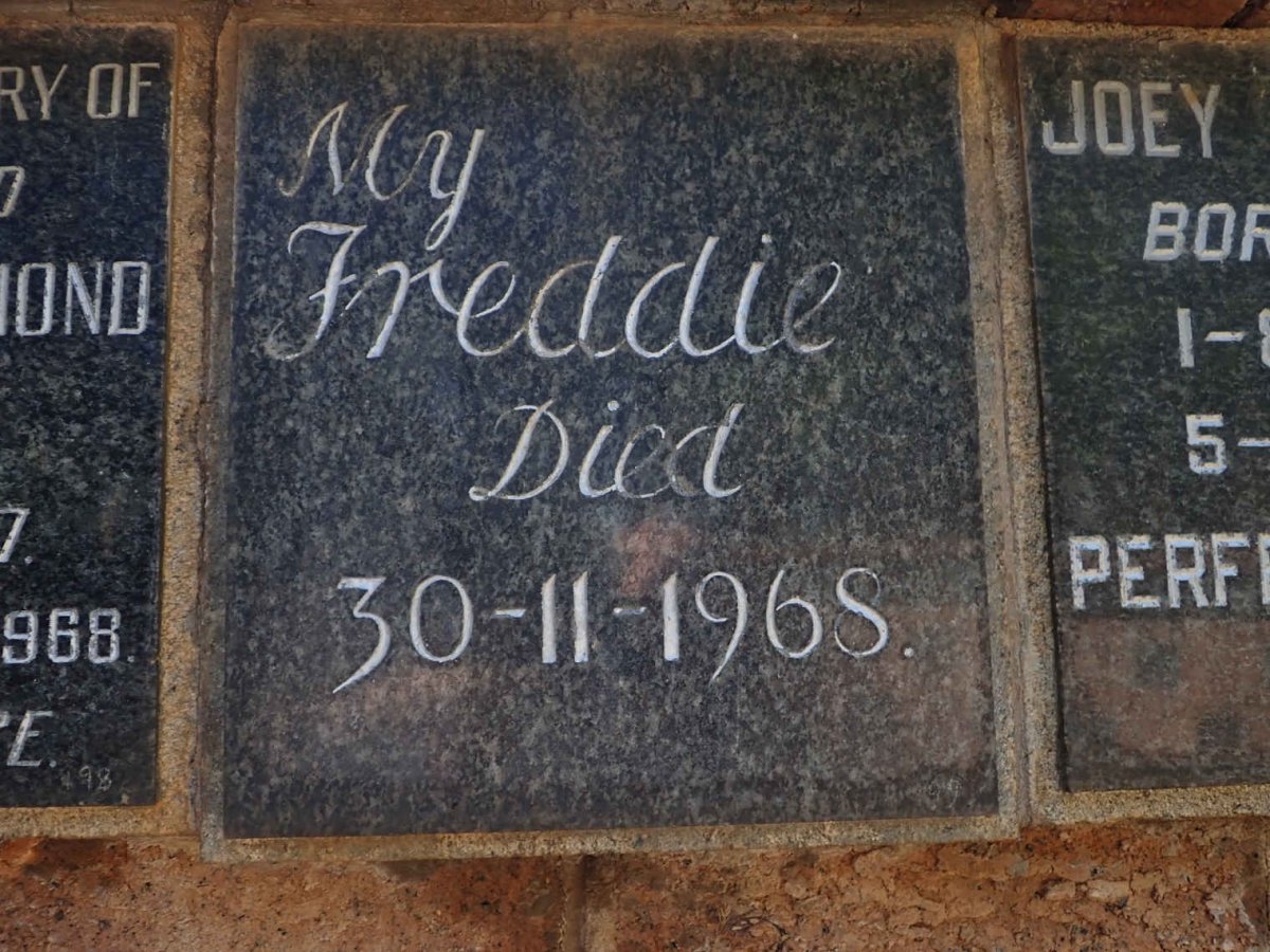 ? Freddie -1968