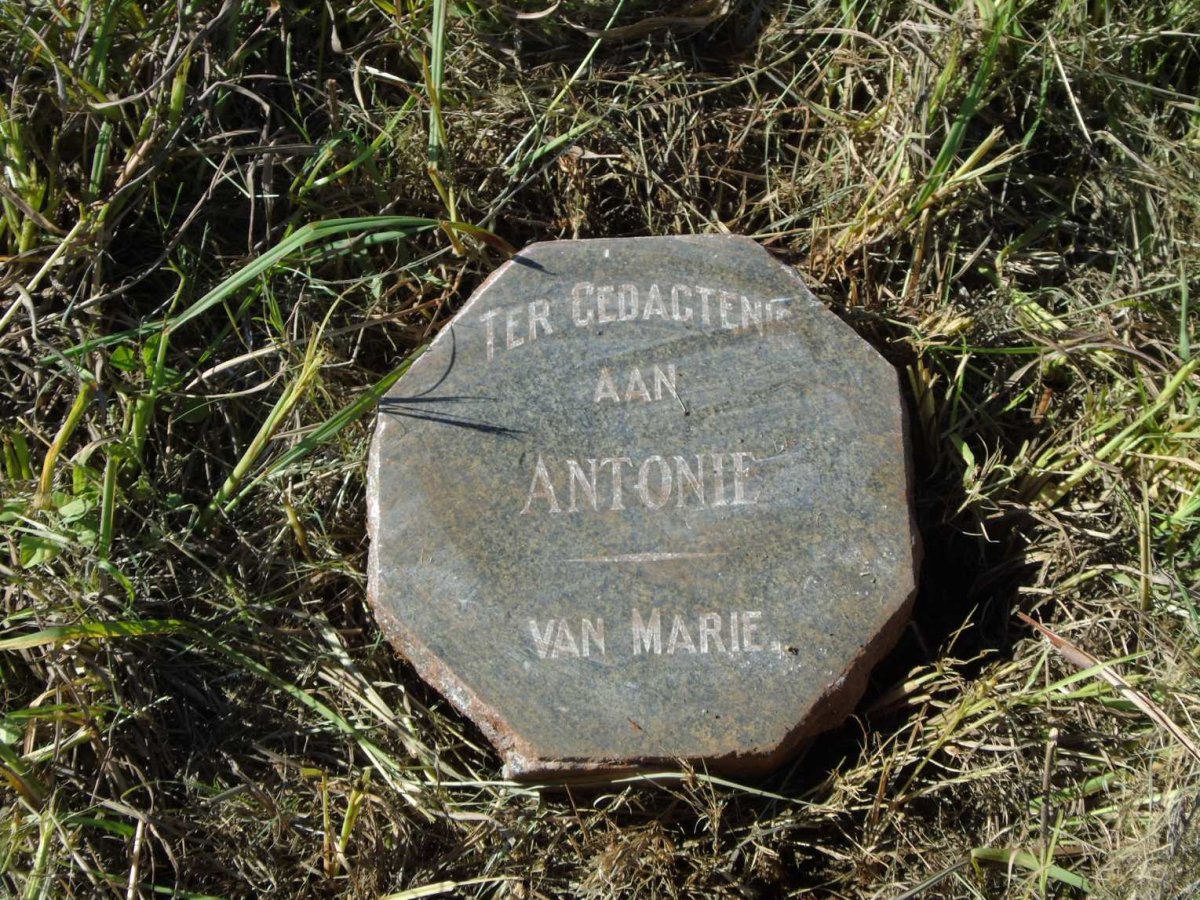? Antonie