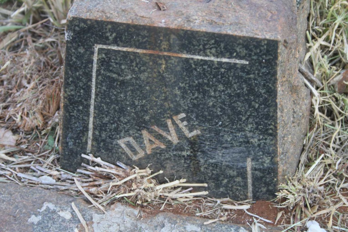 ? Dave