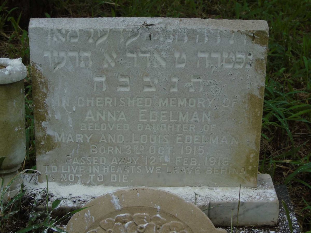 EDELMAN Anna 1915-1916