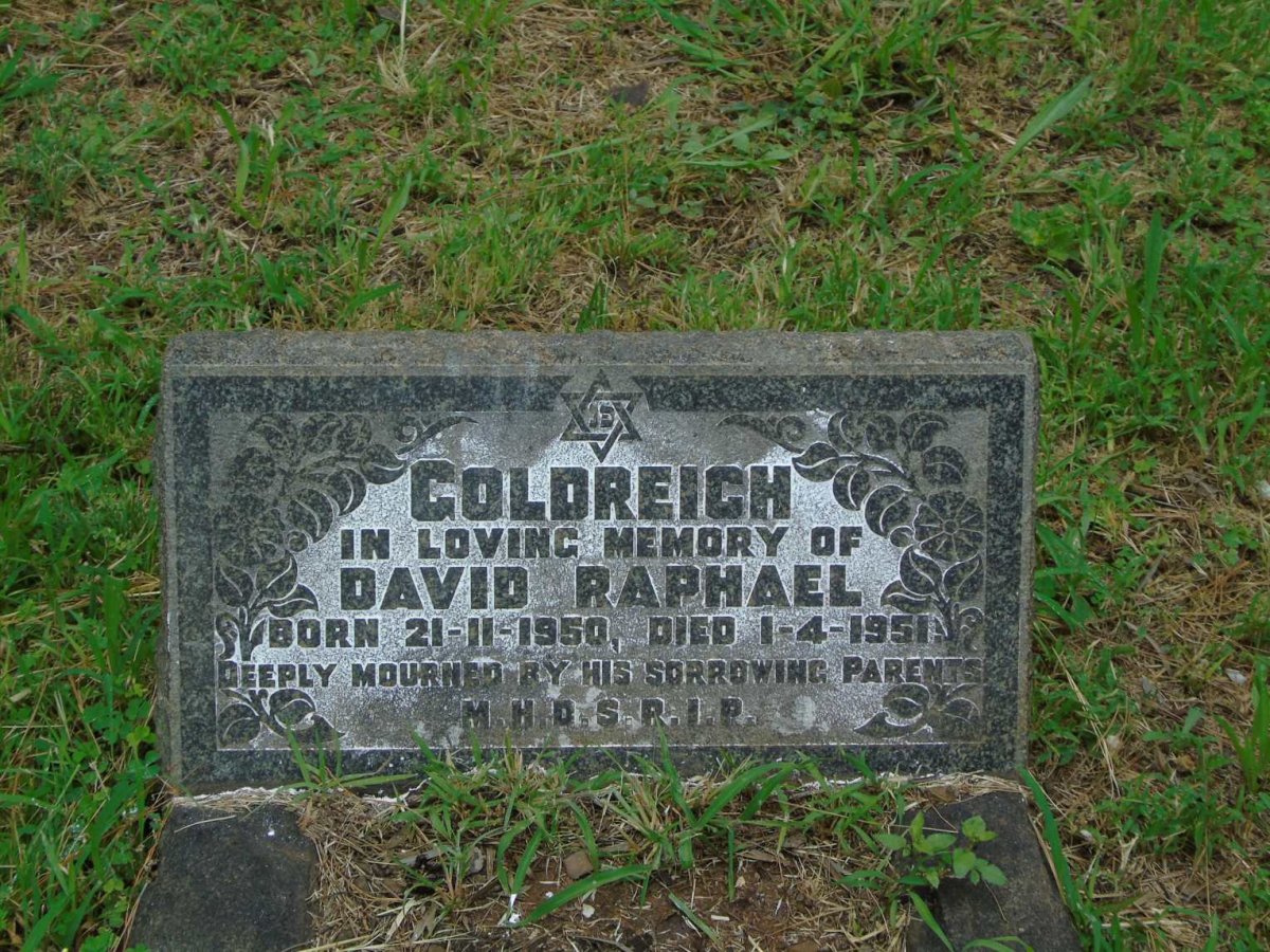 GOLDREICH David Raphael 1950-1951