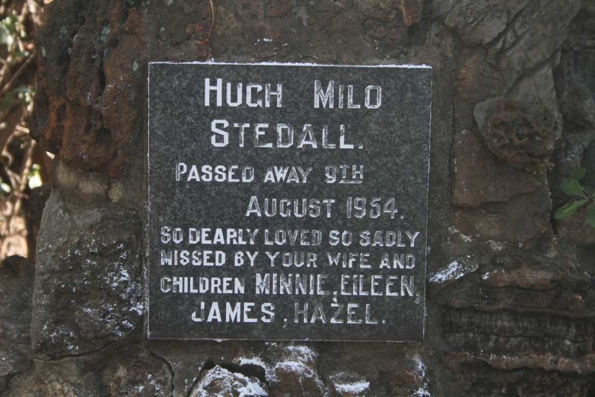 STEDALL Hugh Milo -1954