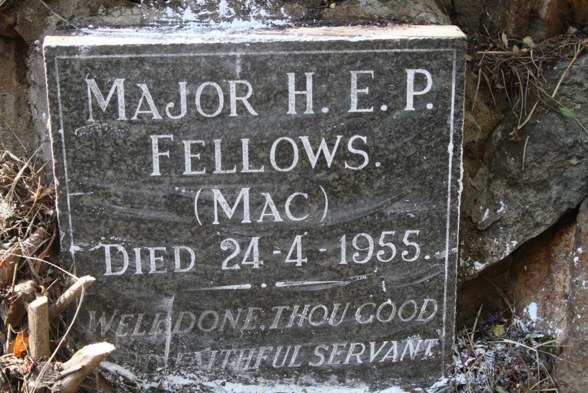 FELLOWS H.E.P. -1955
