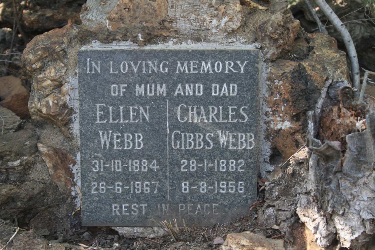 WEBB Charles Gibbs 1882-1956 & Ellen 1884-1967