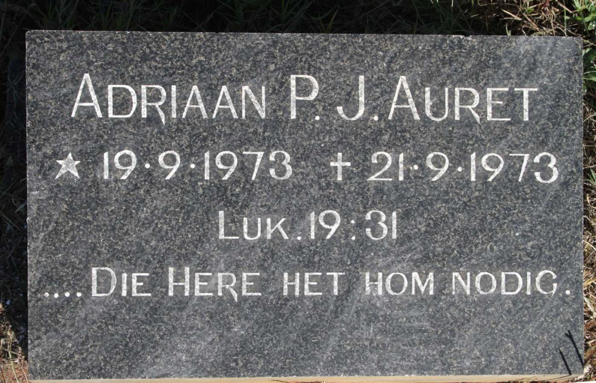 AURET Adriaan P.J. 1973-1973