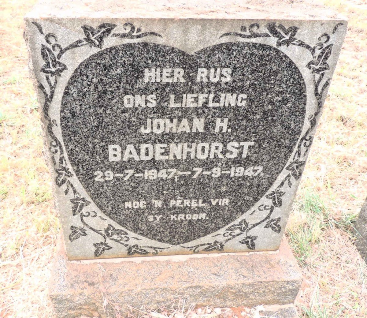 BADENHORST Johan H. 1947-1947