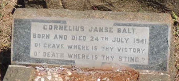 BALT Cornelius Janse 1941-1941