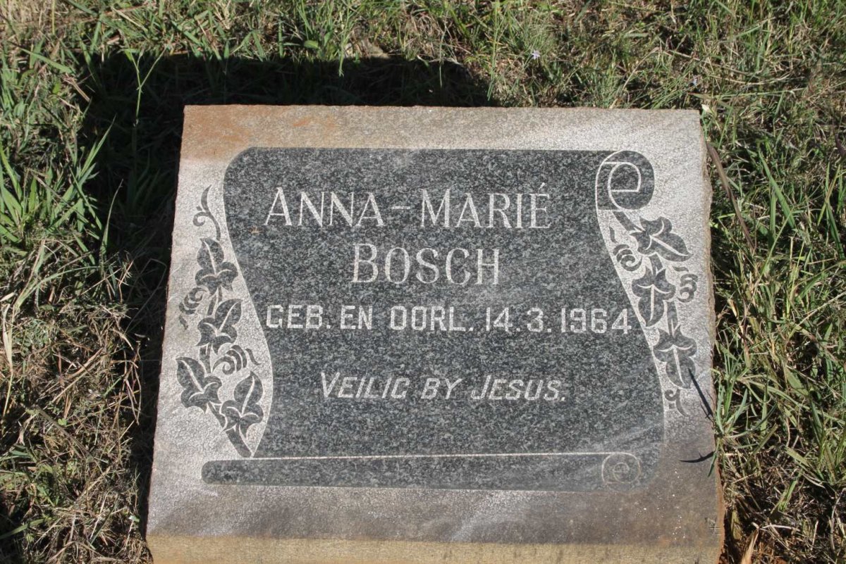 BOSCH Anna-Marie 1964-1964