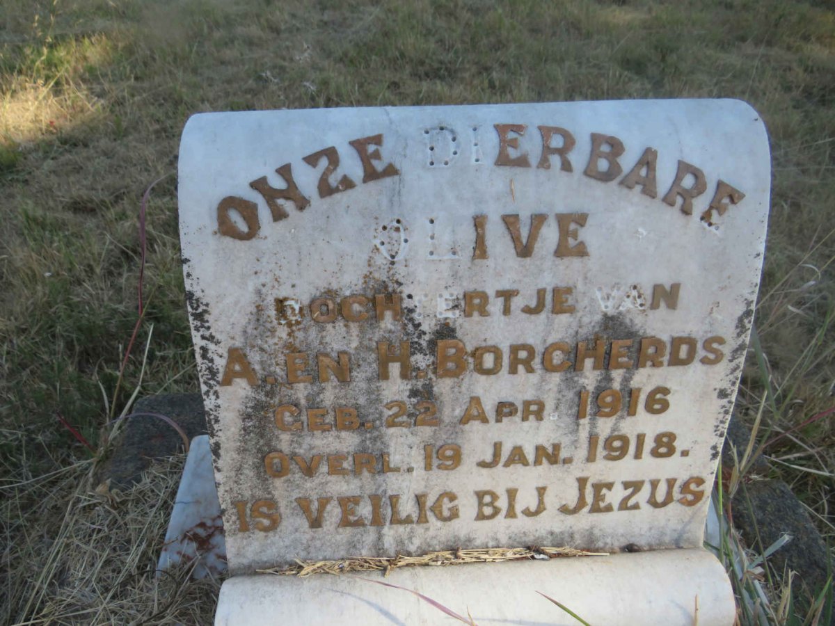 BORCHERDS Olive 1916-1918