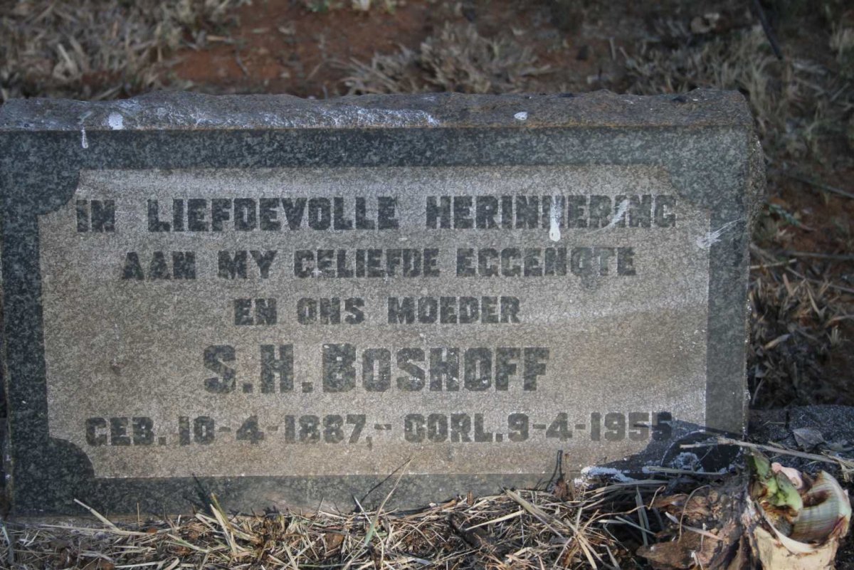 BOSHOFF S.H. 1887-1955