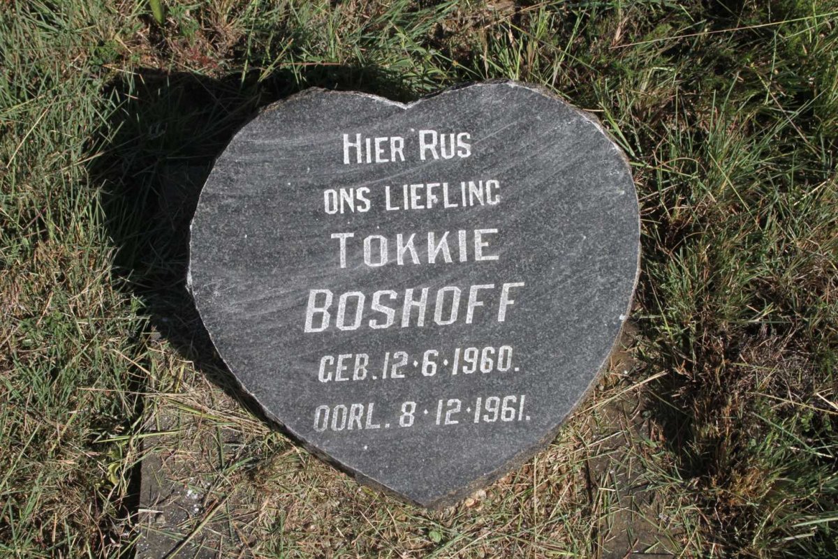 BOSHOFF Tokkie 1960-1961