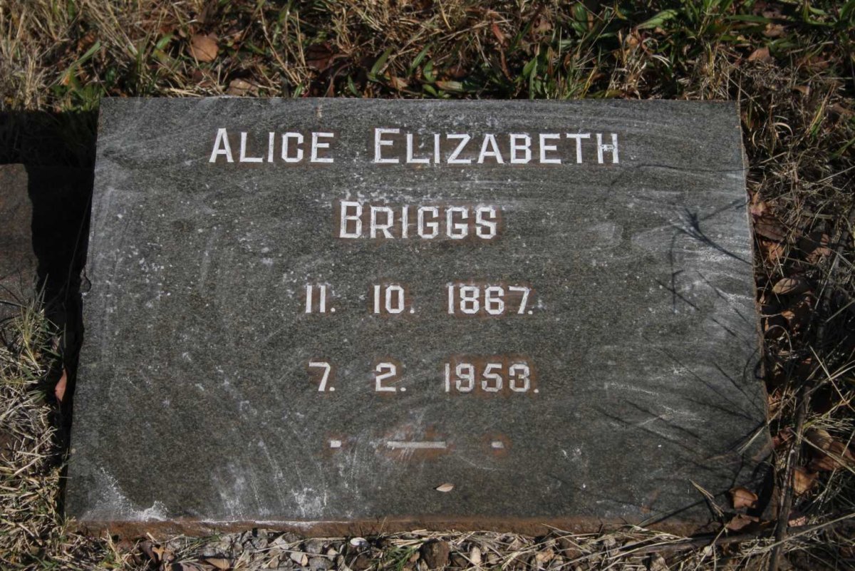 BRIGGS Alice Elizabeth 1867-1953