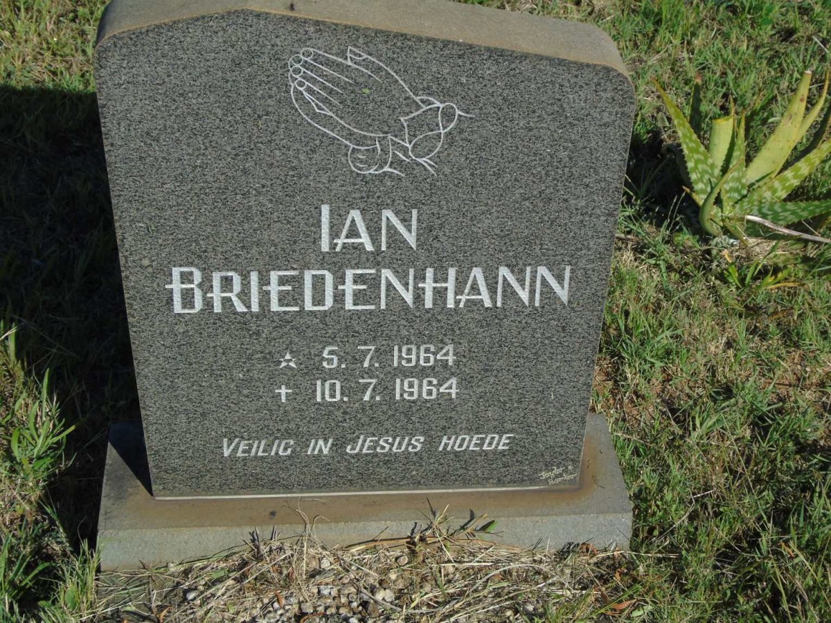 BRIEDENHANN Ian 1964-1964