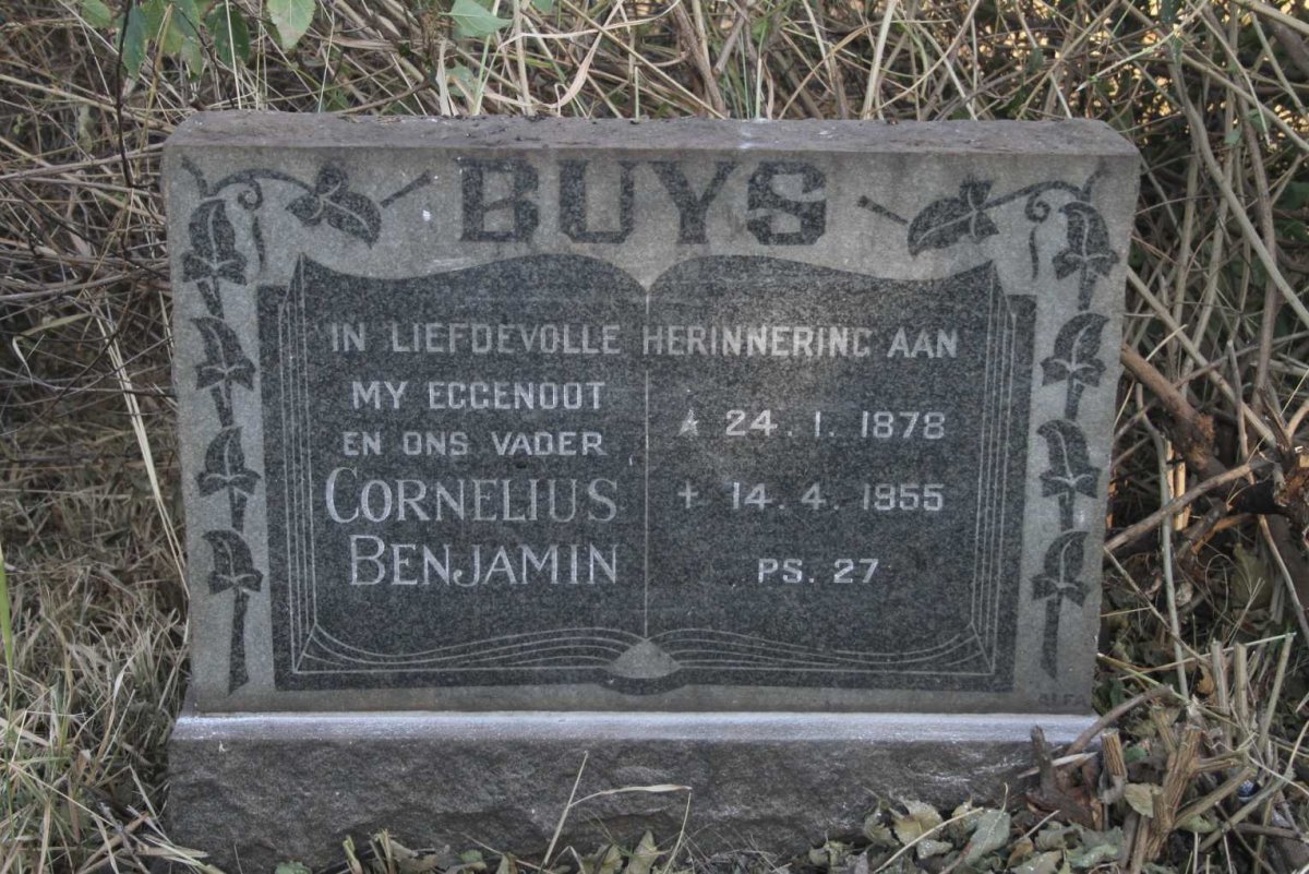 BUYS Cornelius Benjamin 1878-1955