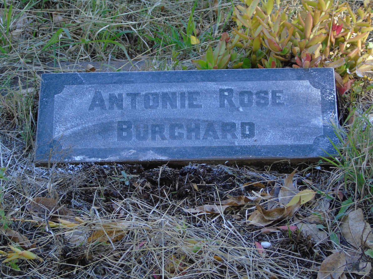 BURCHARD Antonie Rose :: BURCHARD Hans Georg