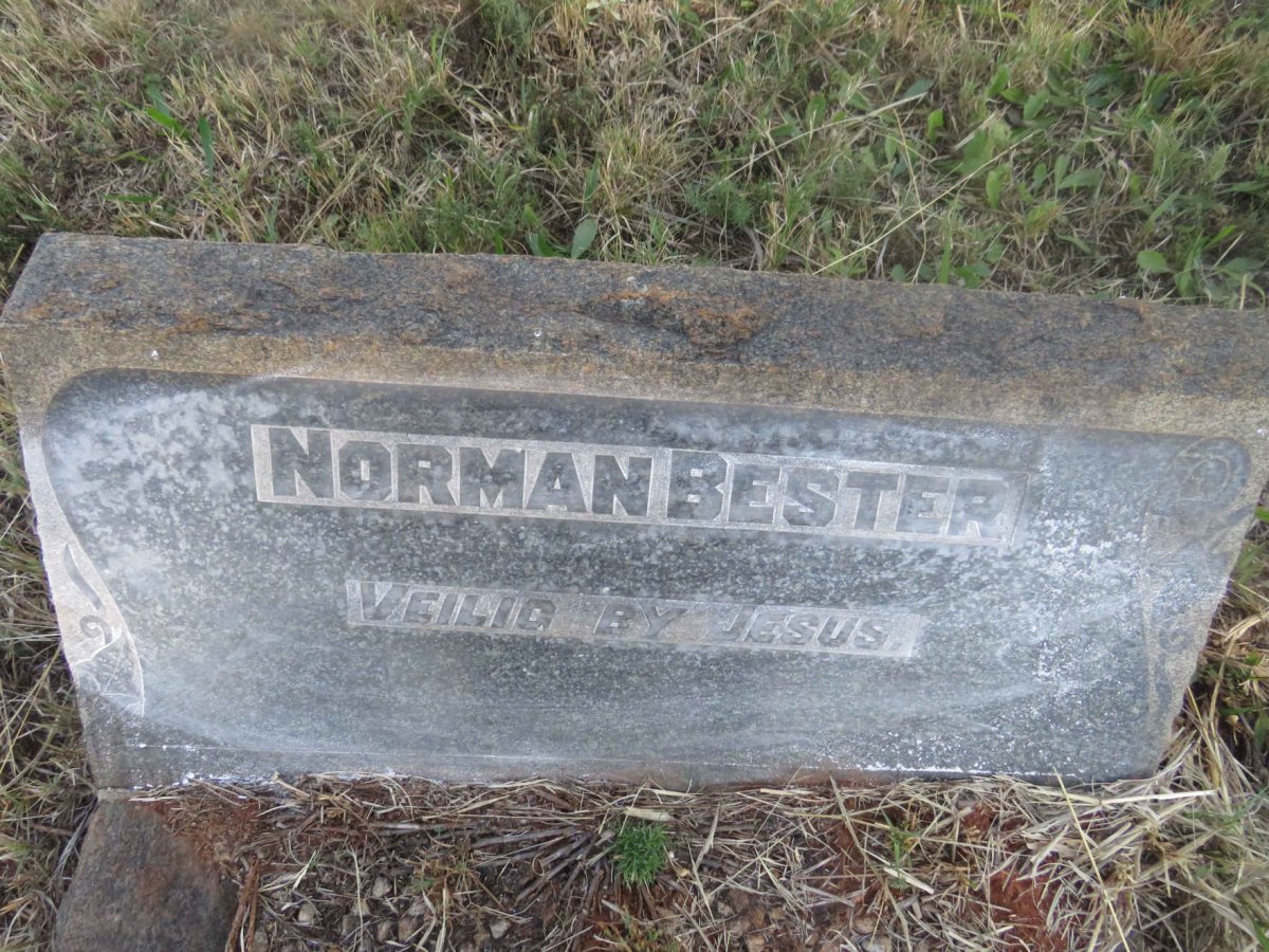 BESTER Norman 