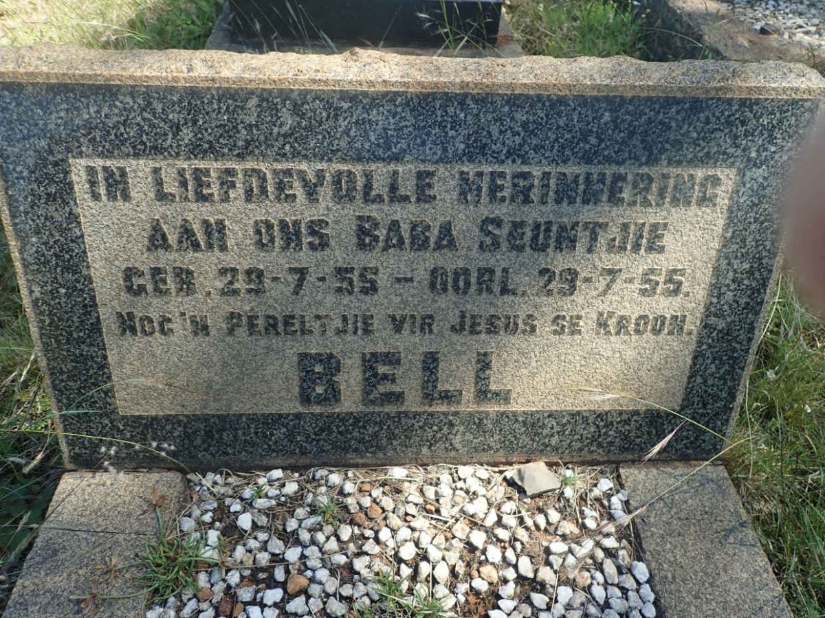 BELL 1955-1955
