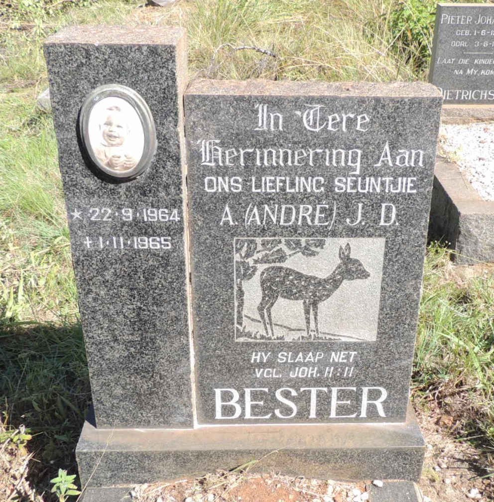 BESTER A.J.D. 1964-1965