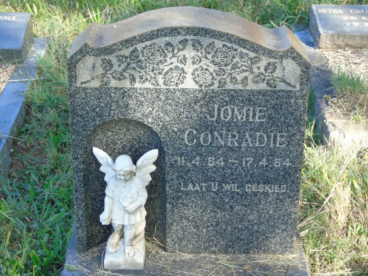 CONRADIE Jomie 1964-1964