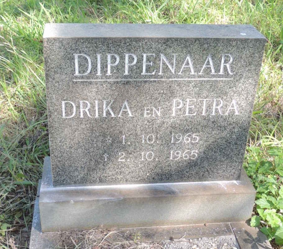 DIPPENAAR Drika 1965-1965 :: DIPPENAAR Petra 1965-1965