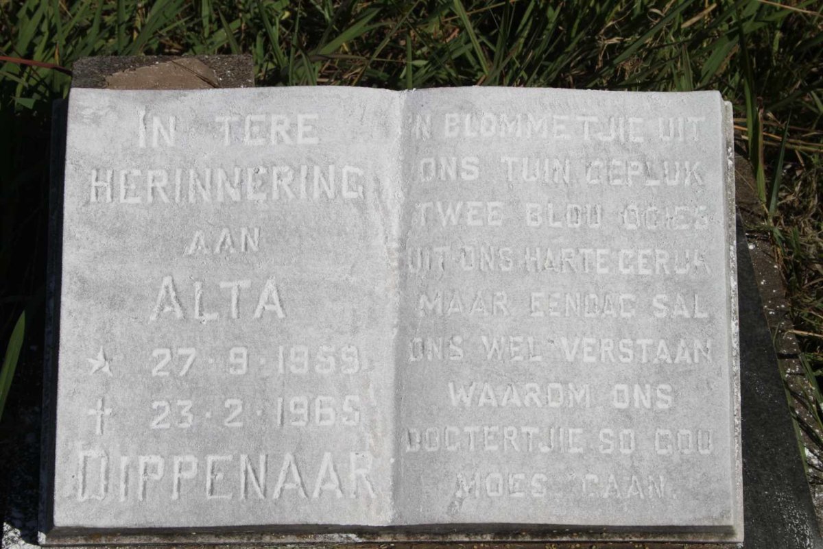 DIPPENAAR Alta 1959-1965